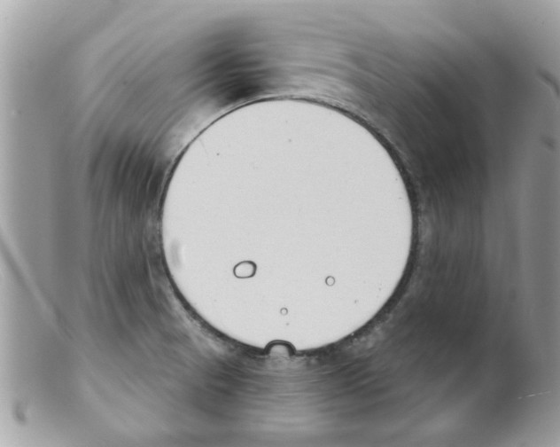 X0000098141521200805151127