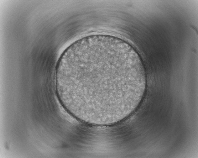 X0000098141522200805151127