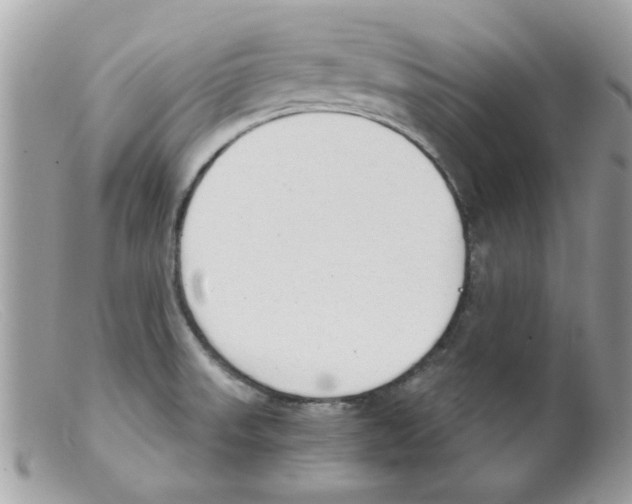 X0000098141523200805151127