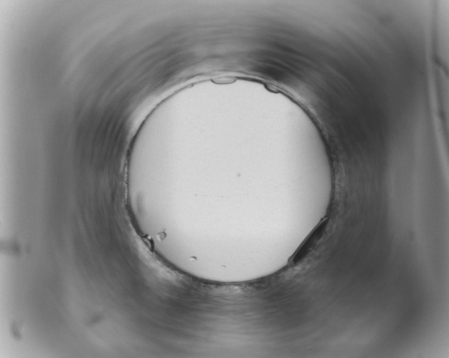 X0000098141524200805151127