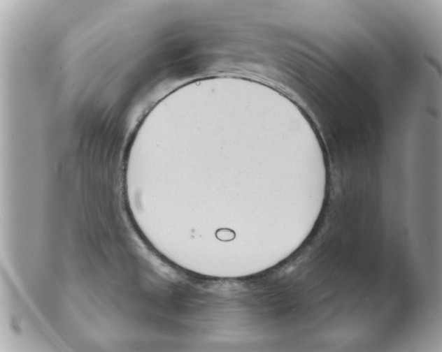 X0000098141525200805151127