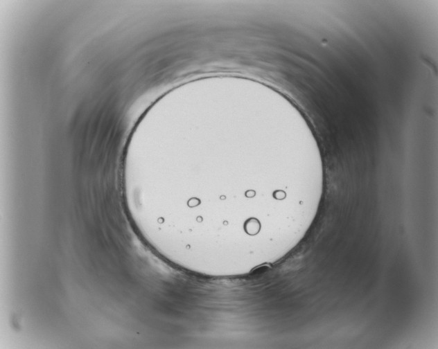 X0000098141527200805151127