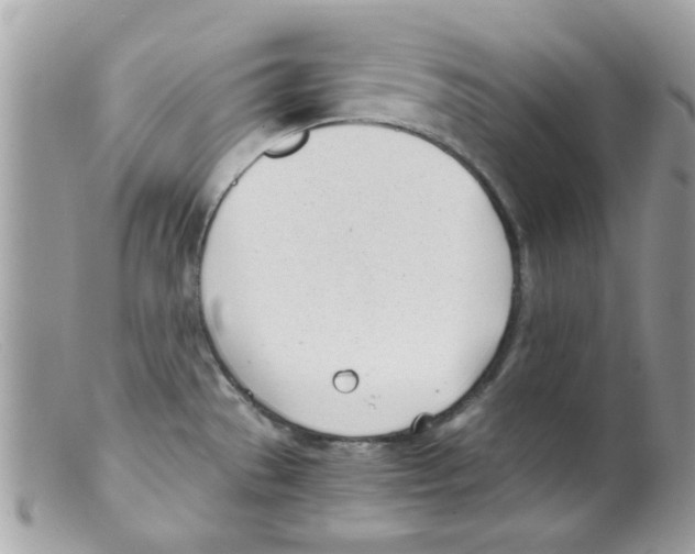 X0000098141529200805151127