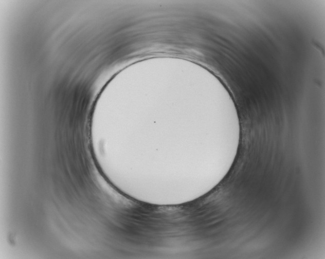 X0000098141531200805151127