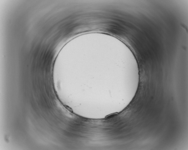 X0000098141532200805151127