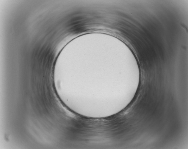 X0000098141533200805151127