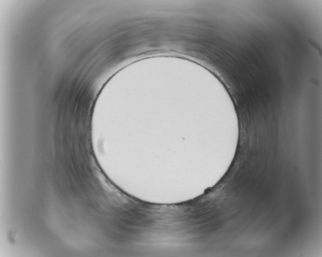 X0000098141534200805151128