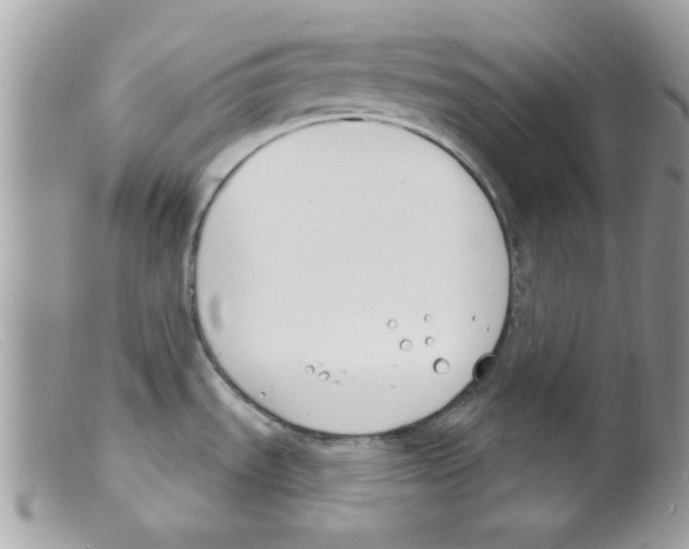 X0000098141535200805151128