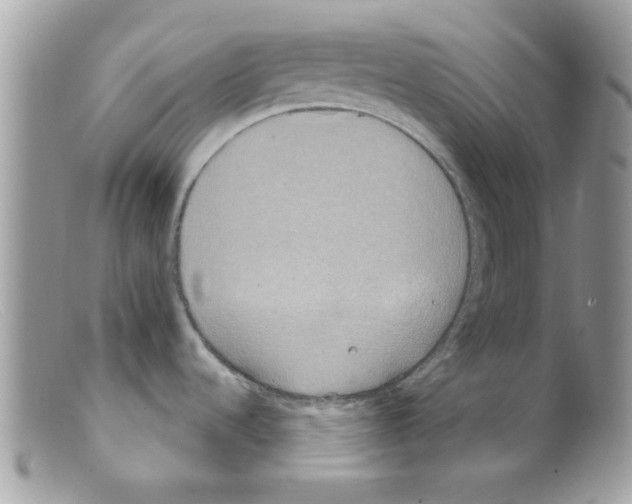 X0000098141536200805151128