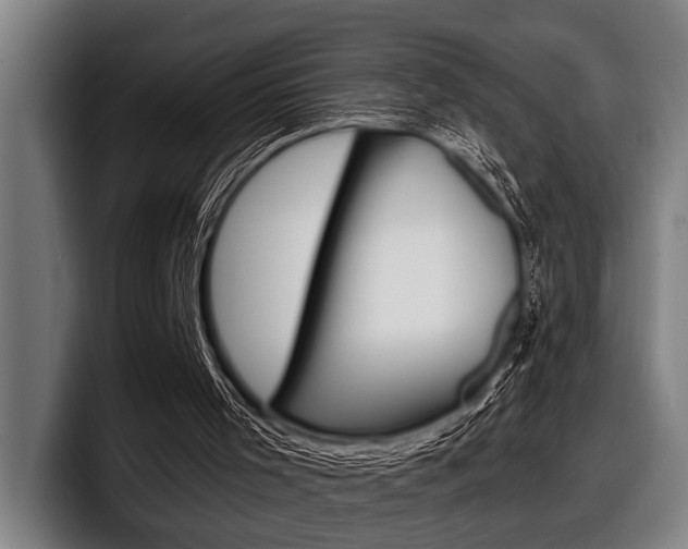 X0000098150001200804171206