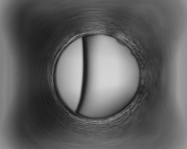 X0000098150002200804171206