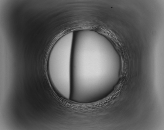 X0000098150003200804171206