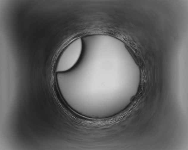 X0000098150005200804171206