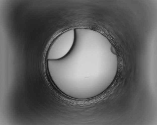 X0000098150006200804171206
