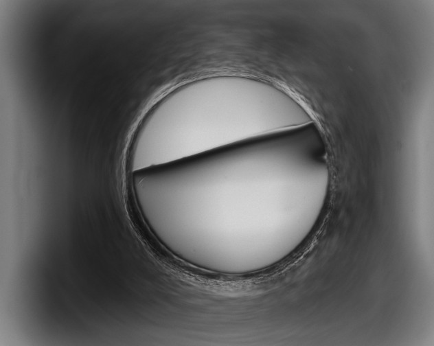 X0000098150008200804171206