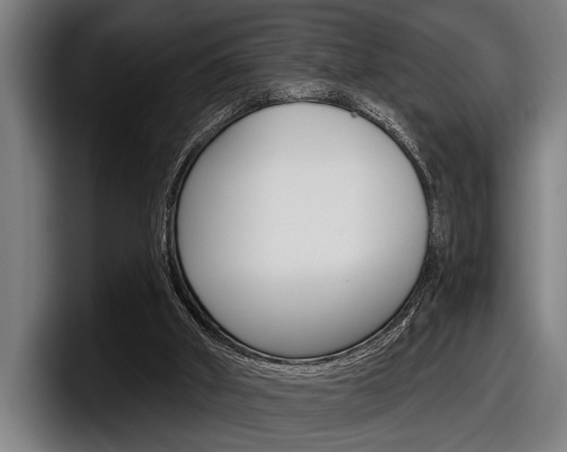 X0000098150010200804171206