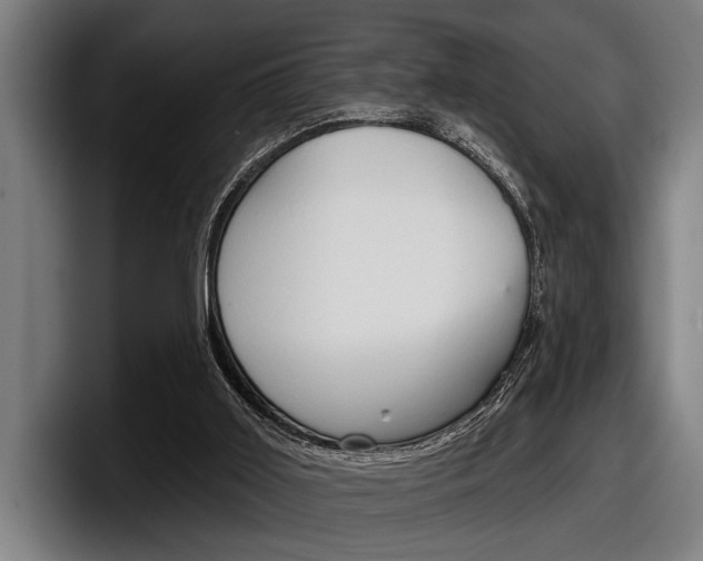 X0000098150011200804171206