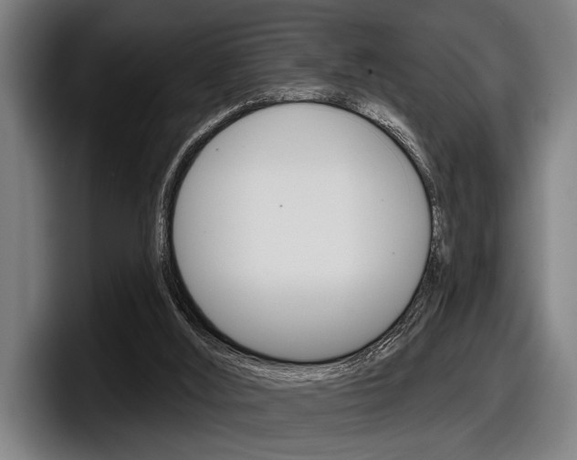X0000098150012200804171206