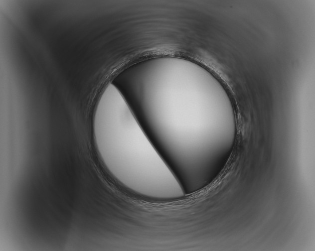 X0000098150013200804171206