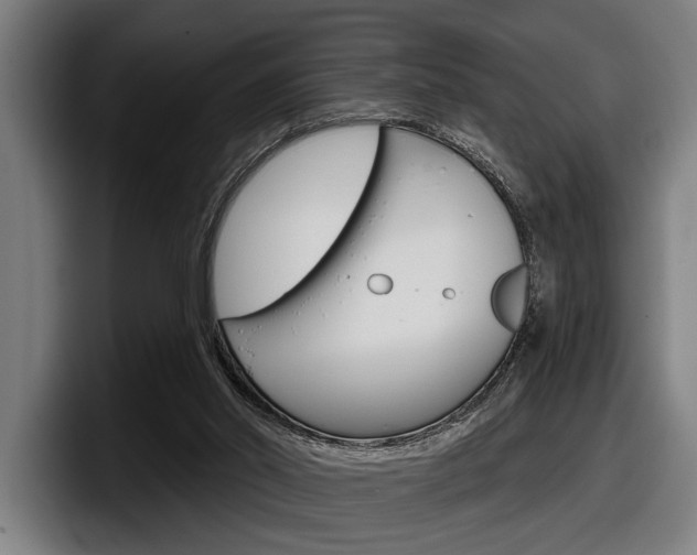 X0000098150014200804171206