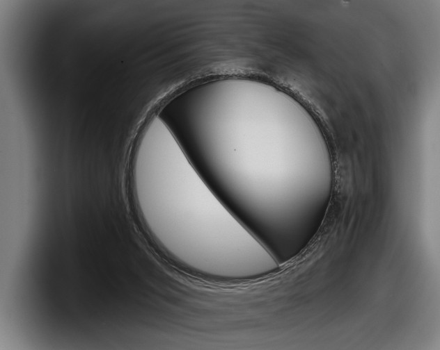 X0000098150015200804171206