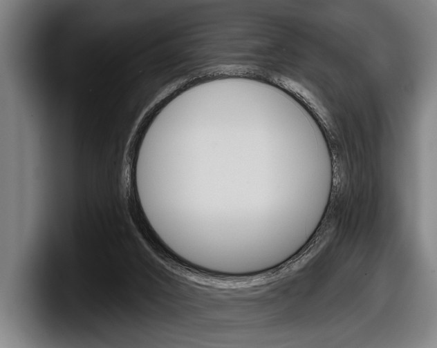 X0000098150016200804171206