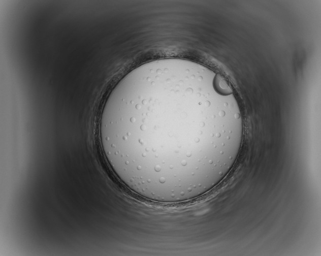 X0000098150018200804171206