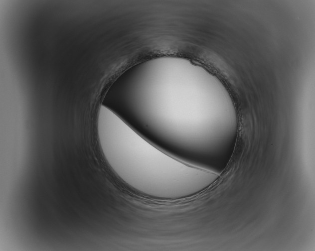 X0000098150023200804171206