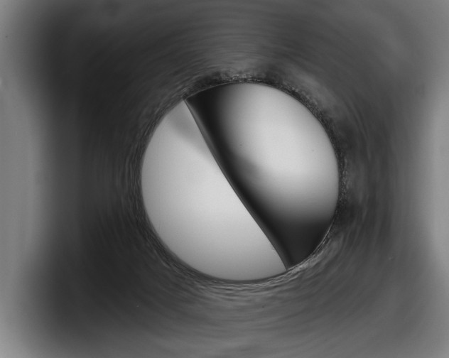 X0000098150025200804171206