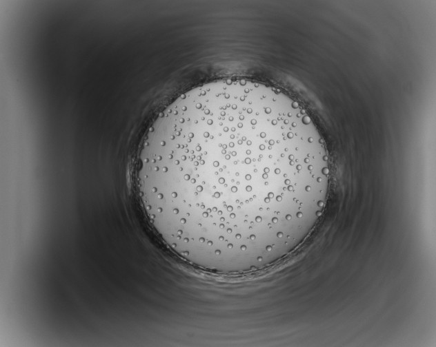 X0000098150026200804171206