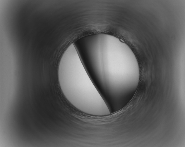 X0000098150027200804171206