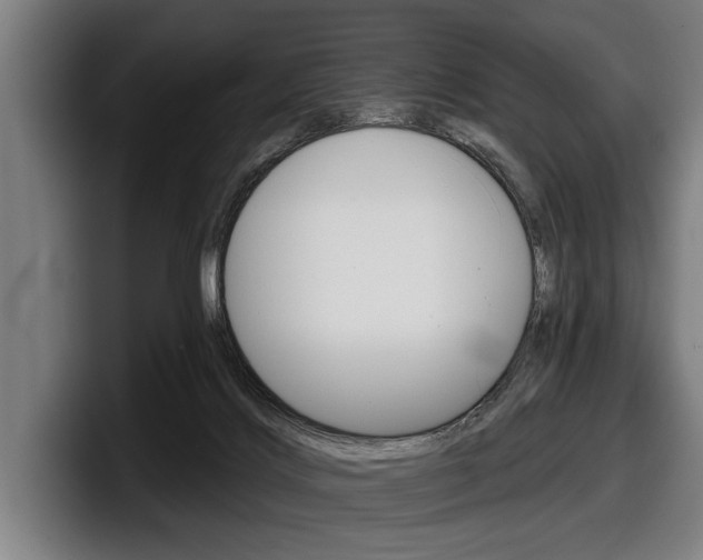 X0000098150028200804171206