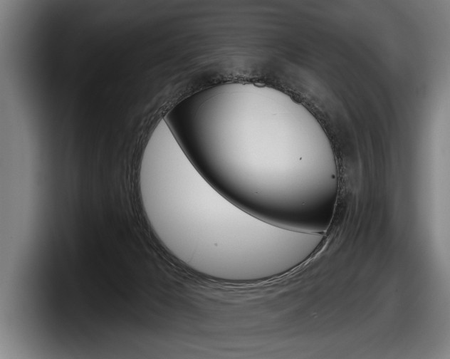 X0000098150029200804171206