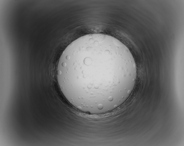 X0000098150030200804171206