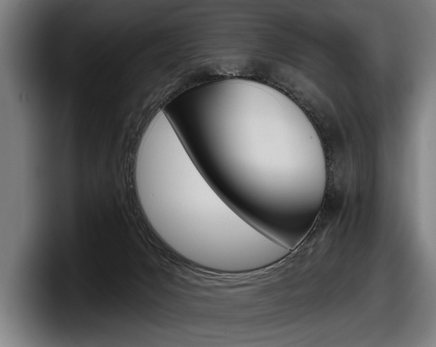 X0000098150031200804171206