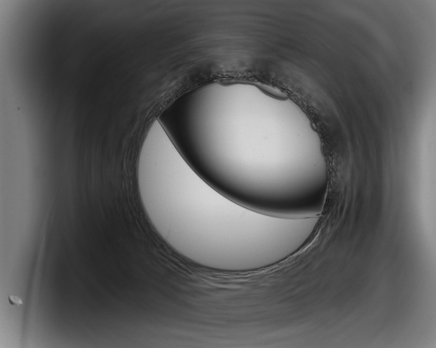X0000098150033200804171206