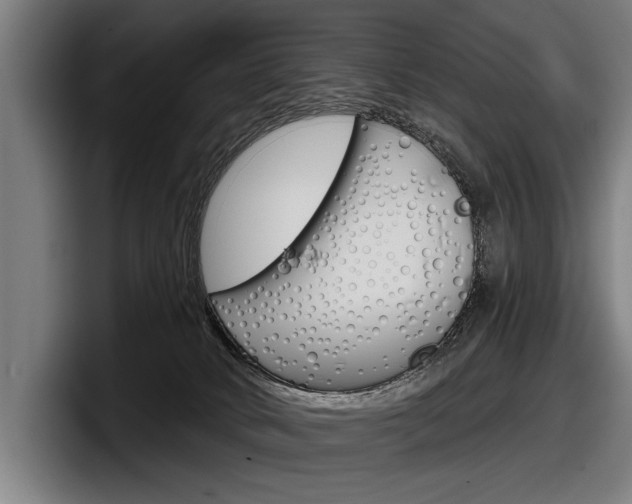 X0000098150034200804171206