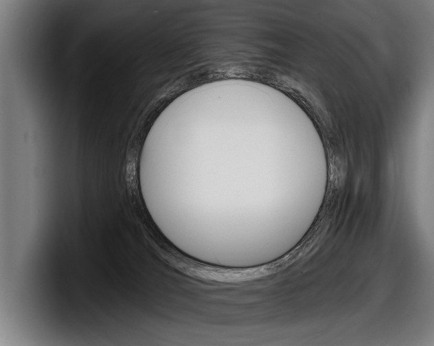 X0000098150036200804171206