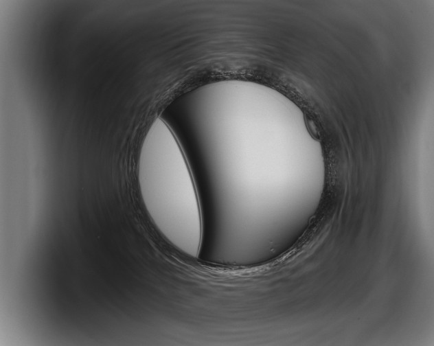 X0000098150040200804171206