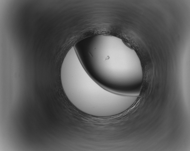 X0000098150041200804171206