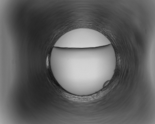 X0000098150042200804171206