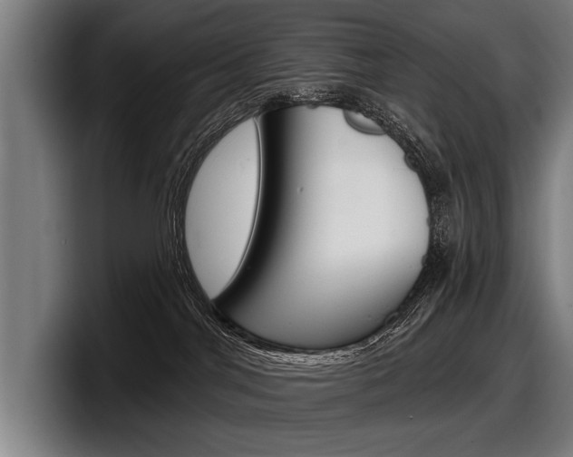 X0000098150044200804171206