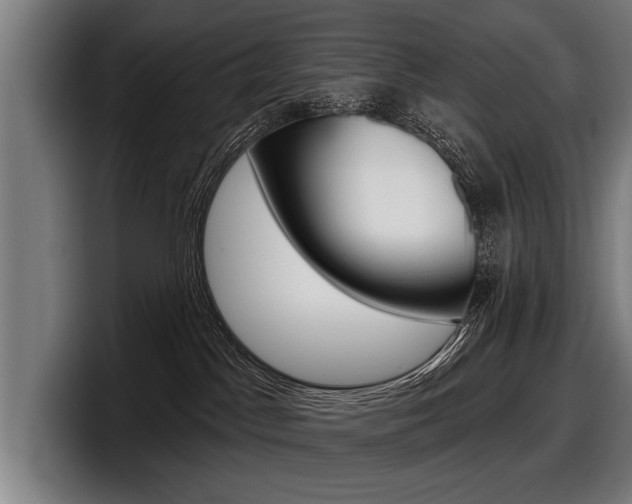 X0000098150045200804171206