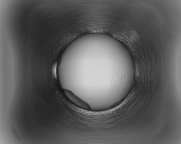 X0000098150047200804171206