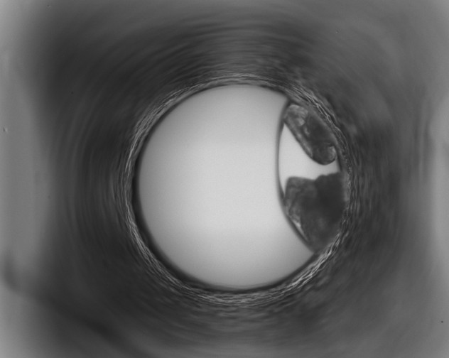 X0000098150049200804171205
