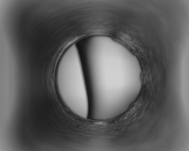 X0000098150050200804171205