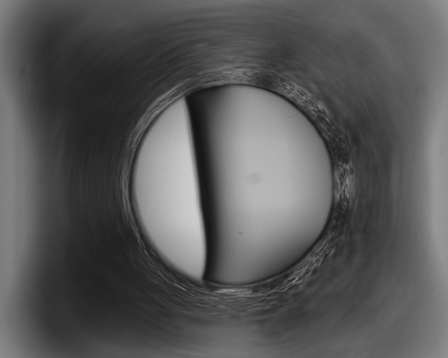 X0000098150051200804171205