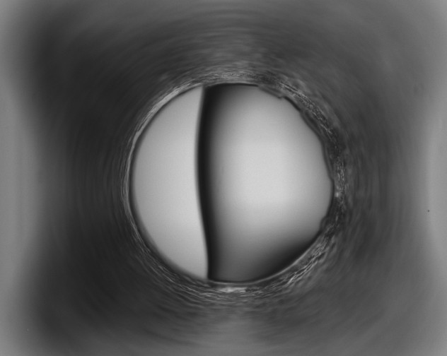 X0000098150052200804171205