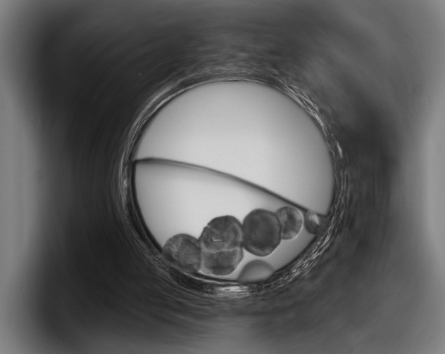 X0000098150053200804171205