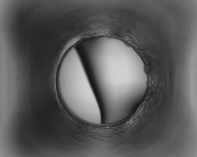 X0000098150054200804171205